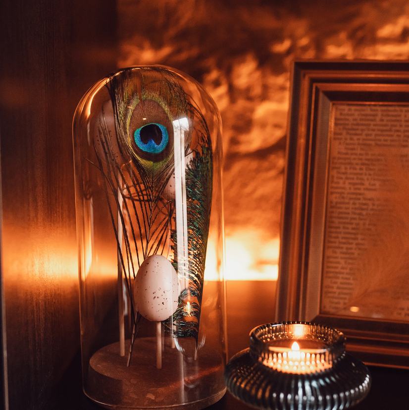 Cabinet de curiosités — art de la table