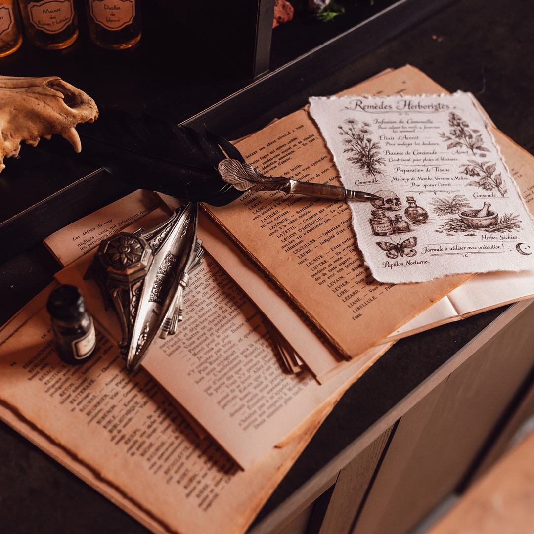 Cabinet de curiosités — art de la table