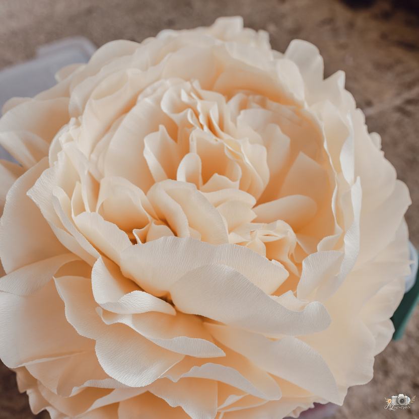 Poésie contemporaine — décoration