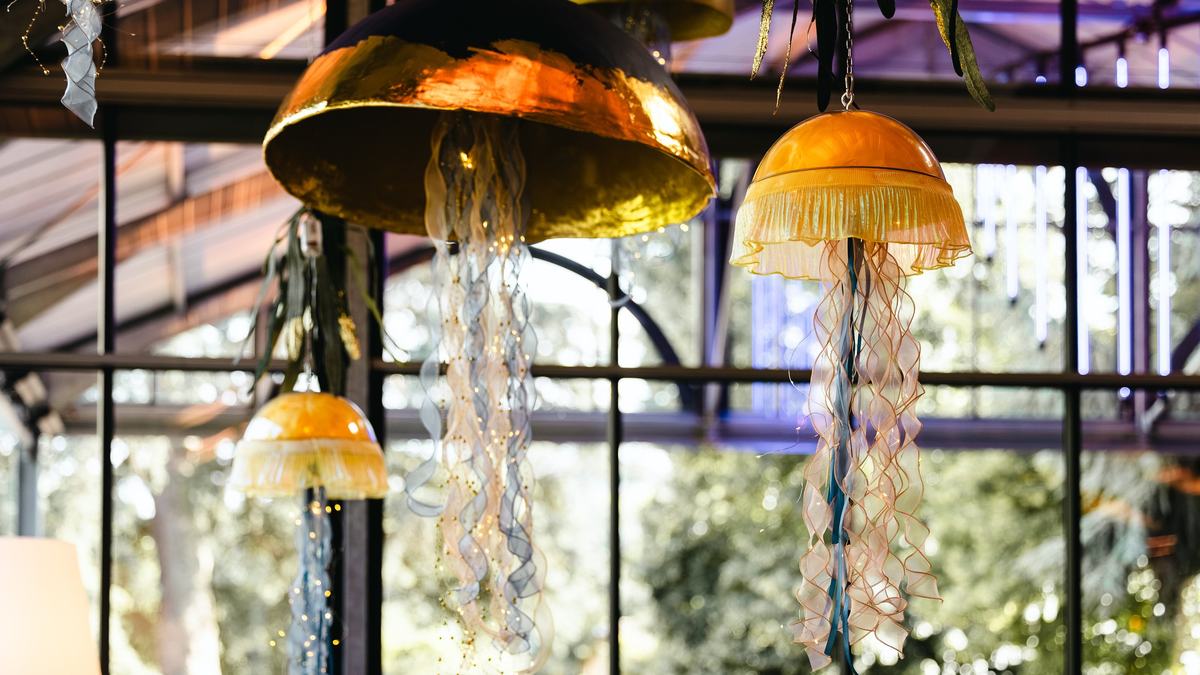Méduses lumineuses suspendues sous une verrière